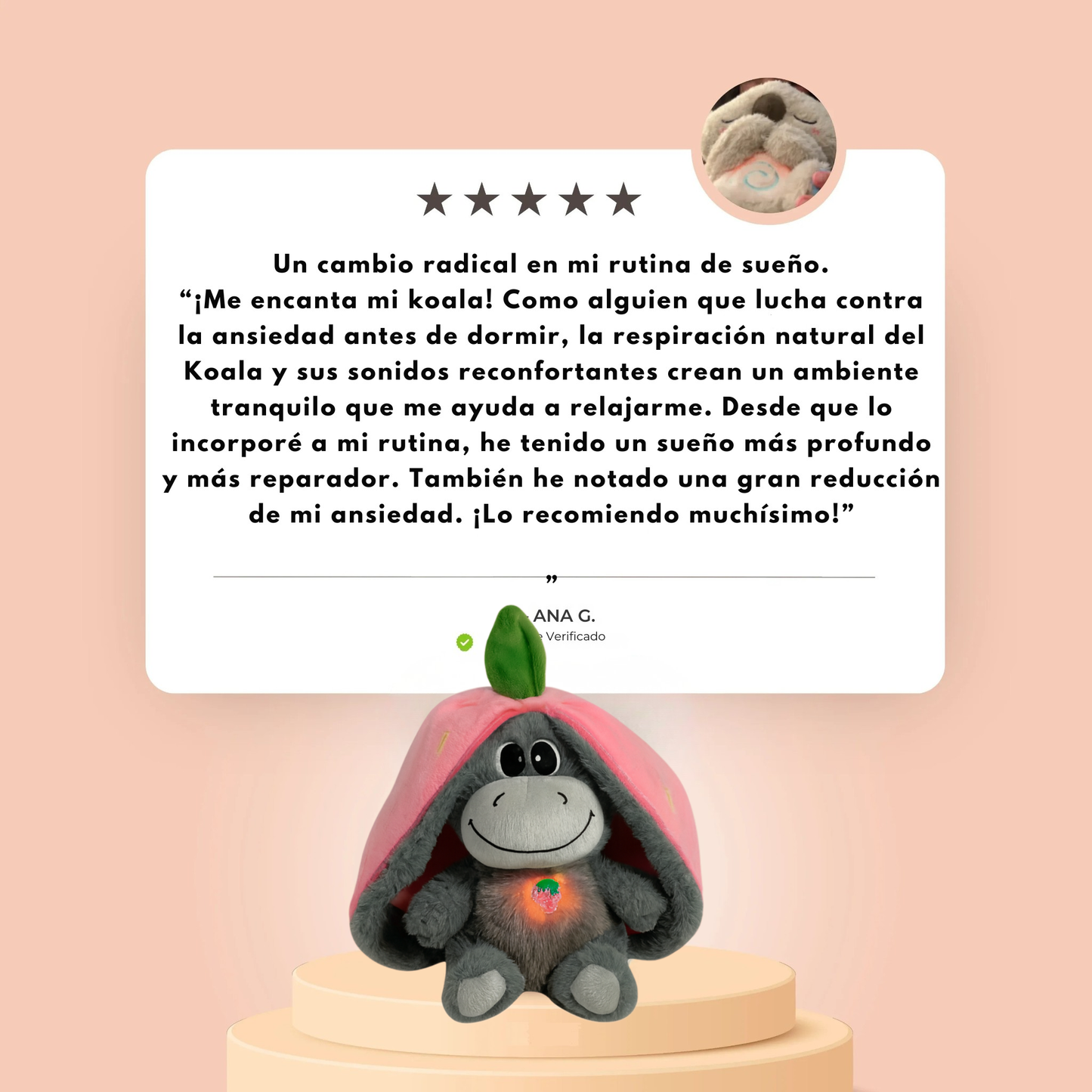 Burrito Lino - Tu Compañero de Calma