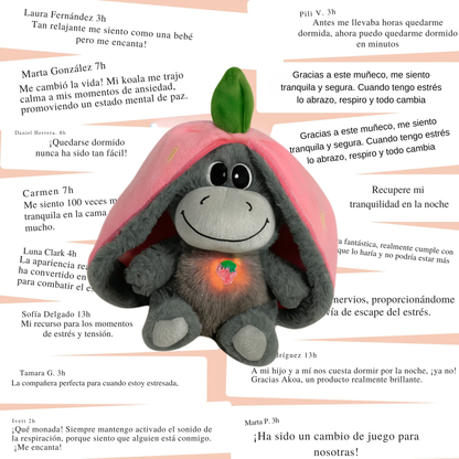 Burrito Lino - Tu Compañero de Calma