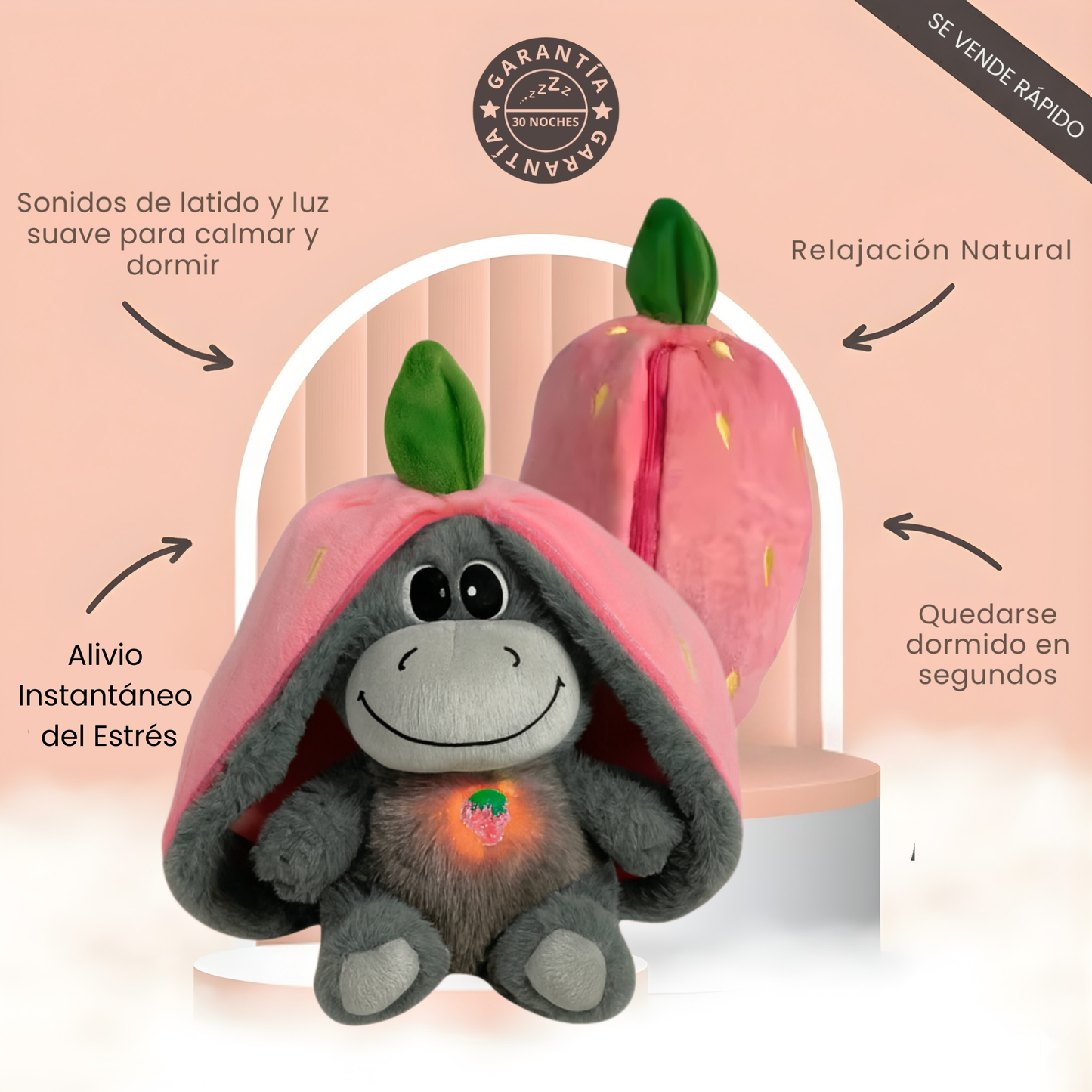 Burrito Lino - Tu Compañero de Calma