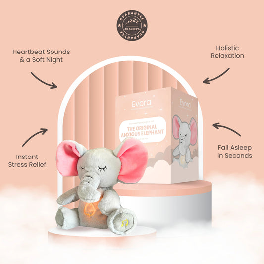 Dumby - Tu compañero de Calma