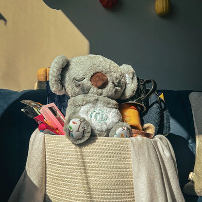 Koala Akoa™ - Tu compañero de Calma