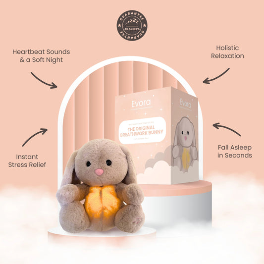 Bunny - Tu compañero de Calma